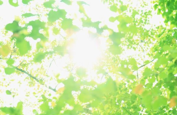 三軒茶屋三宿完全個室男性特化美容室fata夏休み
